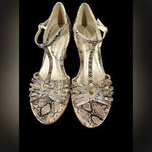 Chinese Laundry women’s siesta dust vipera snakeskin platform wedge